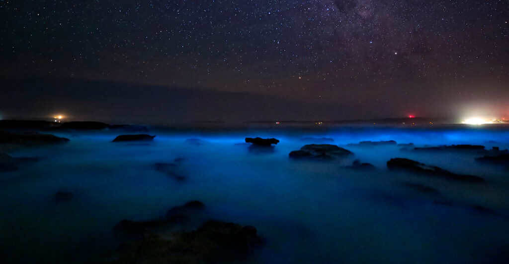 Bioluminescence