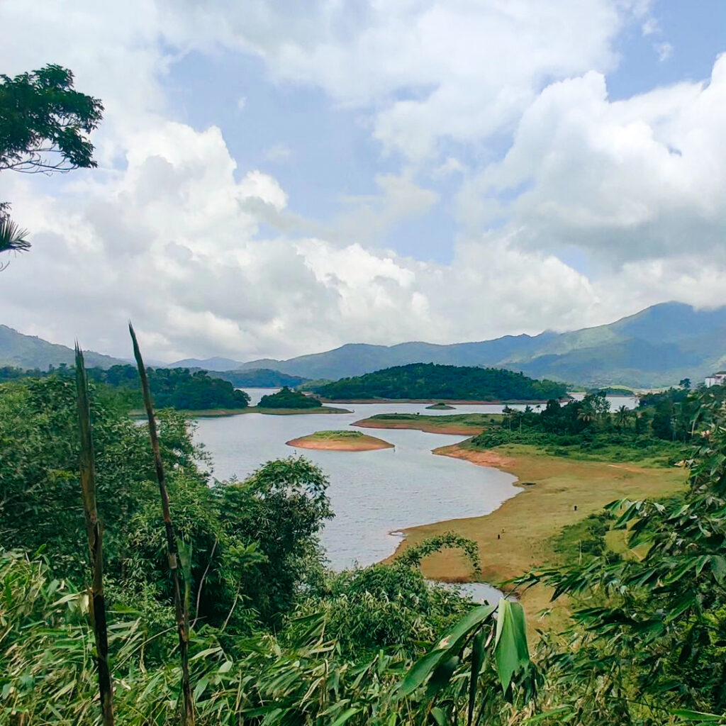 nature resort in wayanad