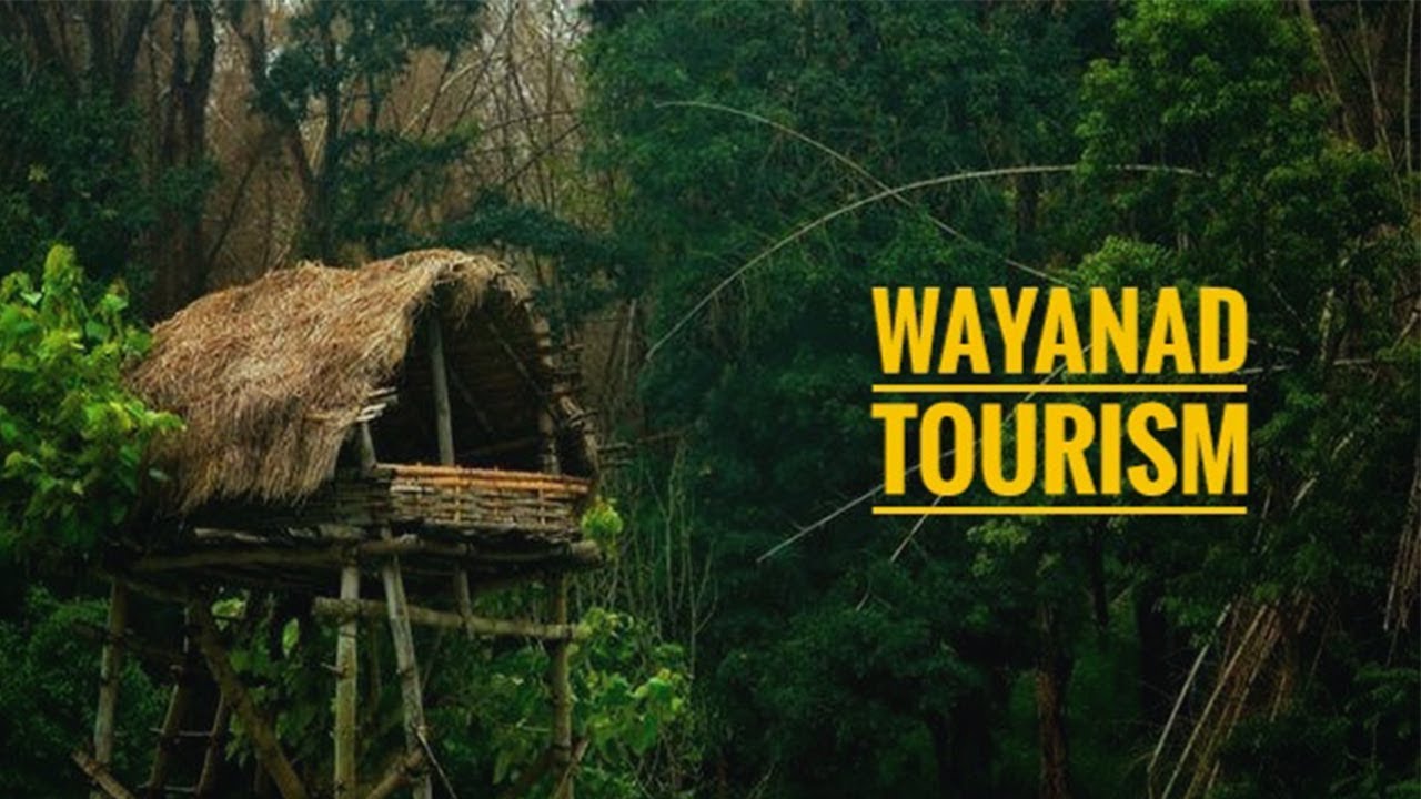 Tourist Spots in Wayanad