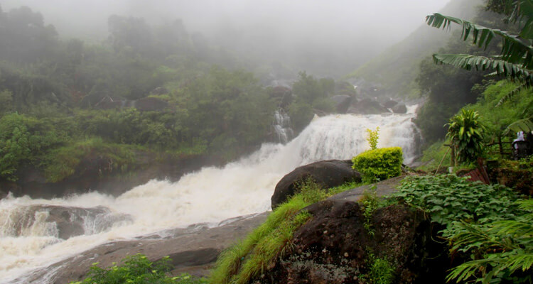 Best Tourist Places in Munnar