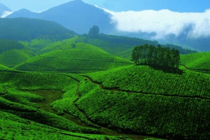 best hill view resorts in Munnar